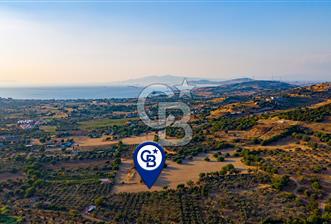 Foça Kozbeyli'de Satılık Tarla - 1 - 359042