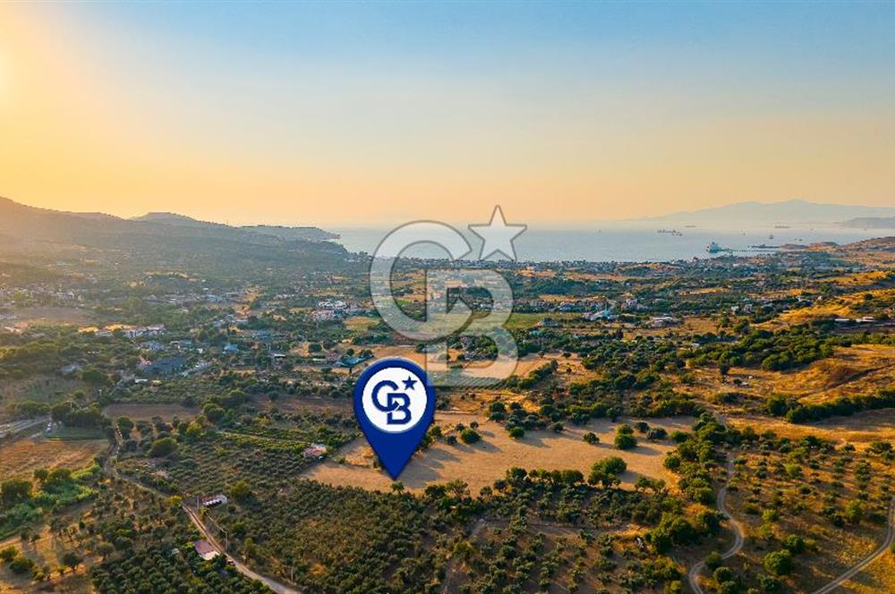 Foça Kozbeyli'de Satılık Tarla