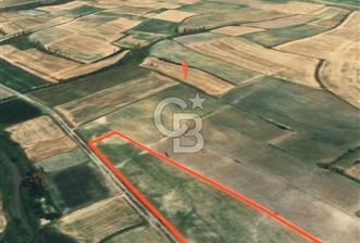 Kırklareli Babaeski’de İcarlı Tarla - 9 - 358654