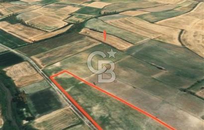 Kırklareli Babaeski’de İcarlı Tarla