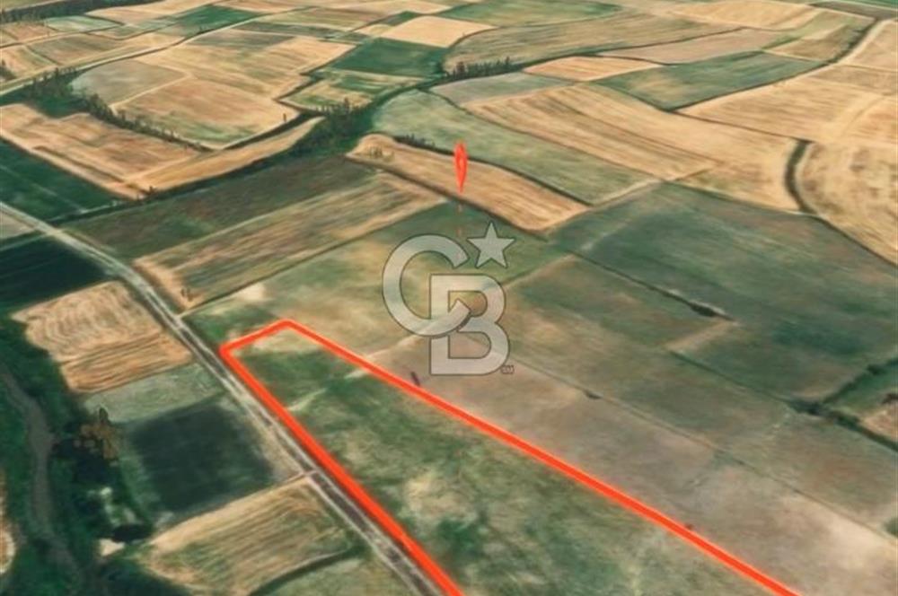 Kırklareli Babaeski’de İcarlı Tarla