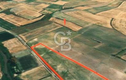 Kırklareli Babaeski’de İcarlı Tarla