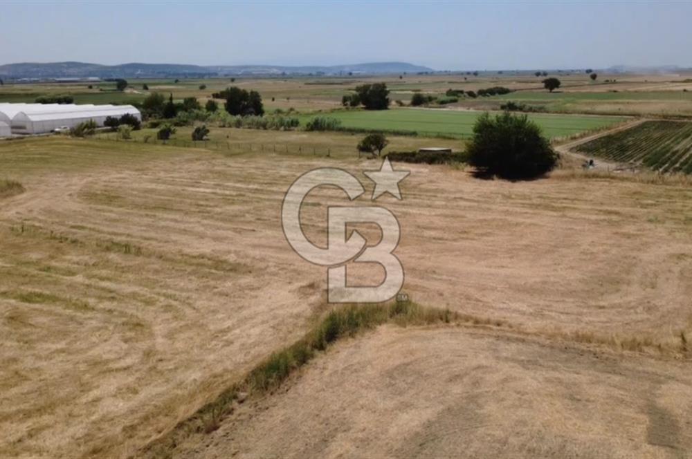 Foça Gerenköy'de Satılık 838 m2 Tarla