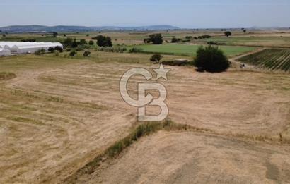 Foça Gerenköy'de Satılık 838 m2 Tarla