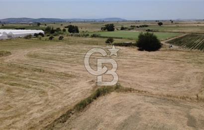 Foça Gerenköy'de Satılık 838 m2 Tarla