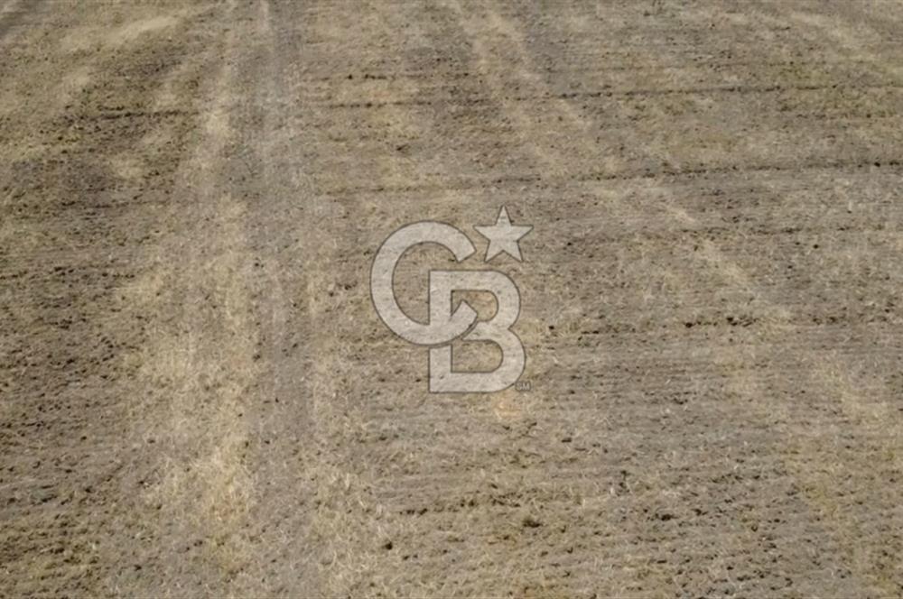 Foça Gerenköy'de Satılık 838 m2 Tarla