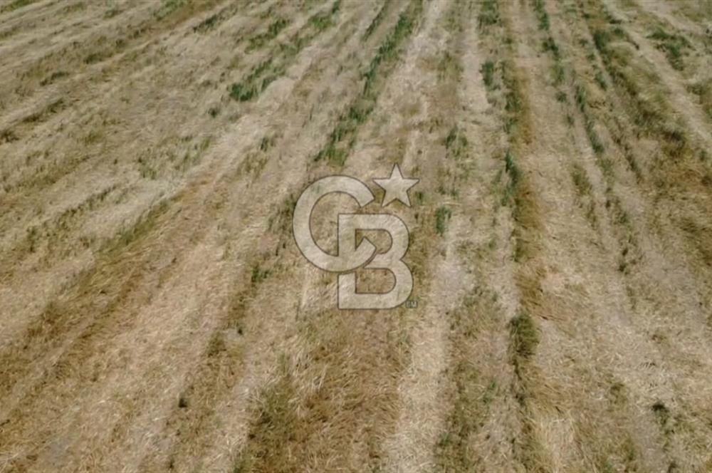 Foça Gerenköy'de Satılık 838 m2 Tarla
