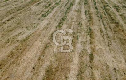 Foça Gerenköy'de Satılık 838 m2 Tarla