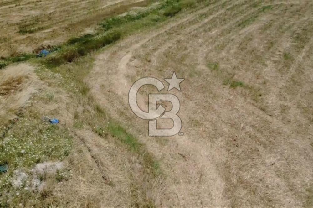 Foça Gerenköy'de Satılık 838 m2 Tarla