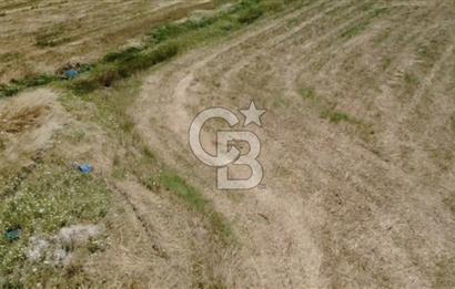 Foça Gerenköy'de Satılık 838 m2 Tarla