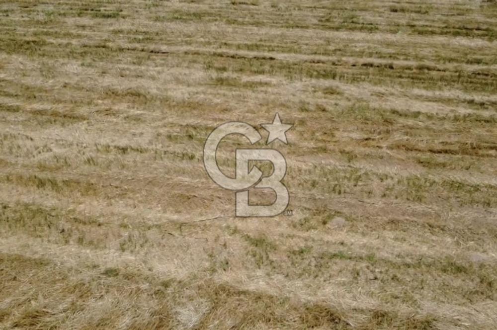 Foça Gerenköy'de Satılık 838 m2 Tarla