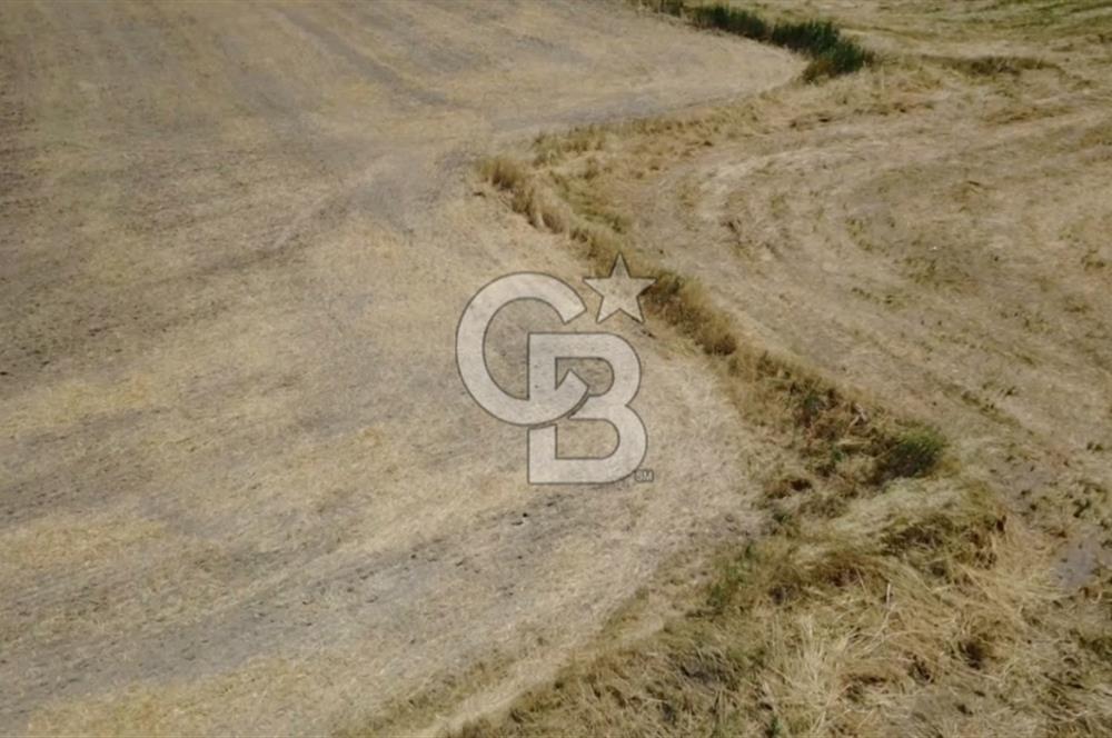 Foça Gerenköy'de Satılık 838 m2 Tarla