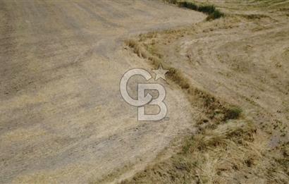 Foça Gerenköy'de Satılık 838 m2 Tarla