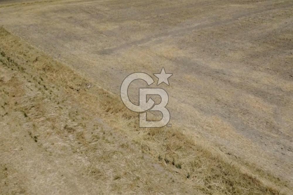 Foça Gerenköy'de Satılık 838 m2 Tarla