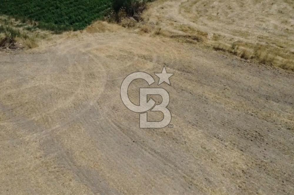 Foça Gerenköy'de Satılık 838 m2 Tarla