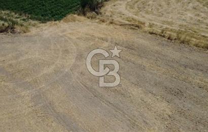 Foça Gerenköy'de Satılık 838 m2 Tarla