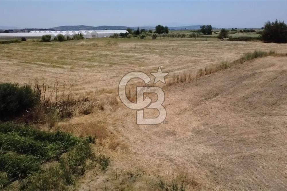 Foça Gerenköy'de Satılık 838 m2 Tarla