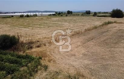 Foça Gerenköy'de Satılık 838 m2 Tarla