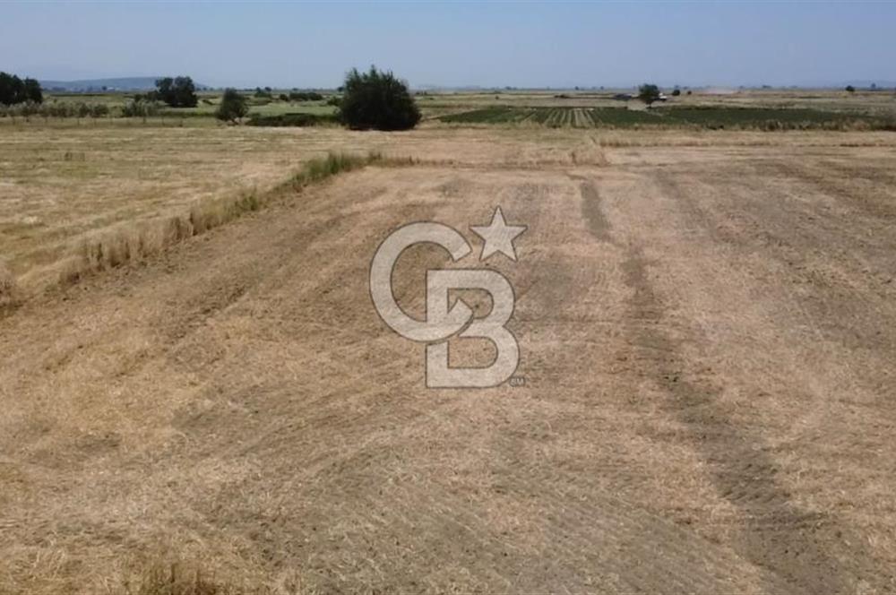 Foça Gerenköy'de Satılık 838 m2 Tarla