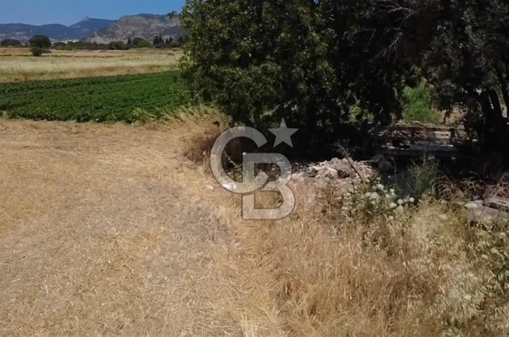 Foça Gerenköy'de Satılık 838 m2 Tarla