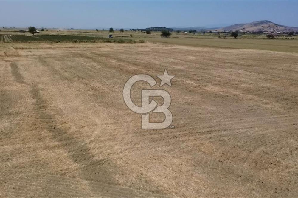 Foça Gerenköy'de Satılık 838 m2 Tarla