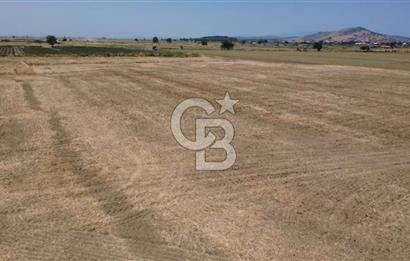 Foça Gerenköy'de Satılık 838 m2 Tarla