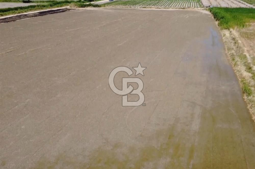 Foça Gerenköy'de Satılık Hisseli 1171 m2 Tarla