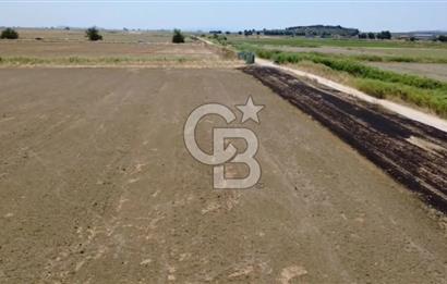 Foça Gerenköy'de Satılık Hisseli 1171 m2 Tarla