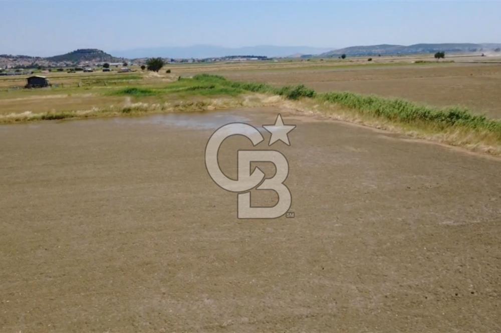 Foça Gerenköy'de Satılık Hisseli 1171 m2 Tarla