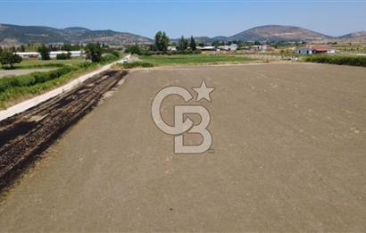 Foça Gerenköy'de Satılık Hisseli 1171 m2 Tarla