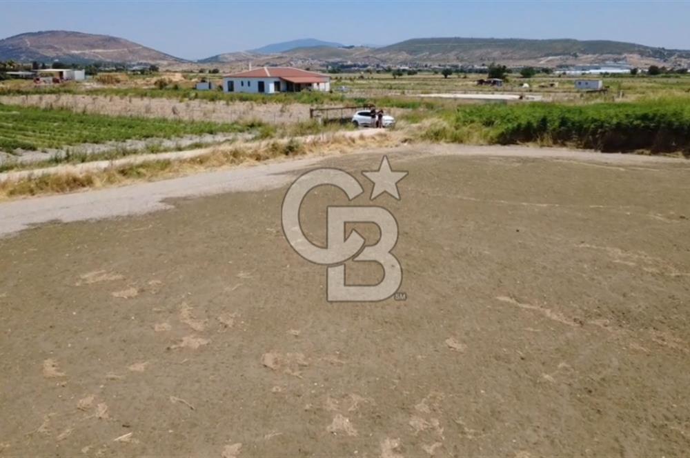 Foça Gerenköy'de Satılık Hisseli 1171 m2 Tarla