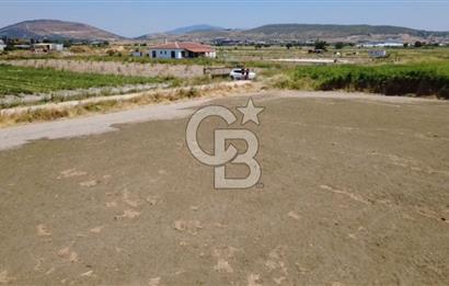 Foça Gerenköy'de Satılık Hisseli 1171 m2 Tarla