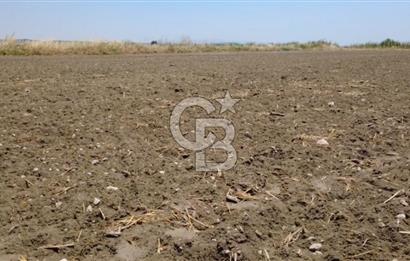 Foça Gerenköy'de Satılık Hisseli 1171 m2 Tarla