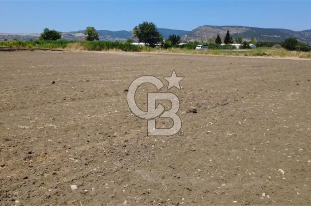 Foça Gerenköy'de Satılık Hisseli 1171 m2 Tarla
