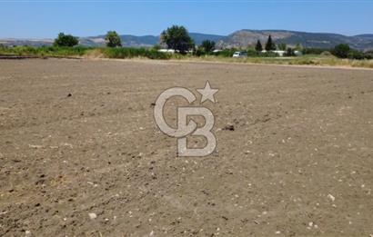 Foça Gerenköy'de Satılık Hisseli 1171 m2 Tarla