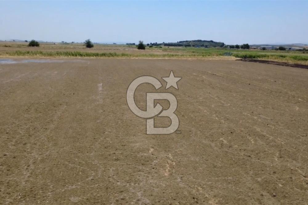 Foça Gerenköy'de Satılık Hisseli 1171 m2 Tarla
