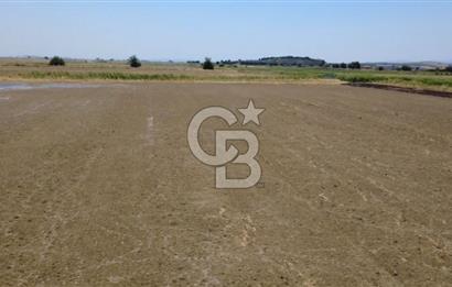 Foça Gerenköy'de Satılık Hisseli 1171 m2 Tarla