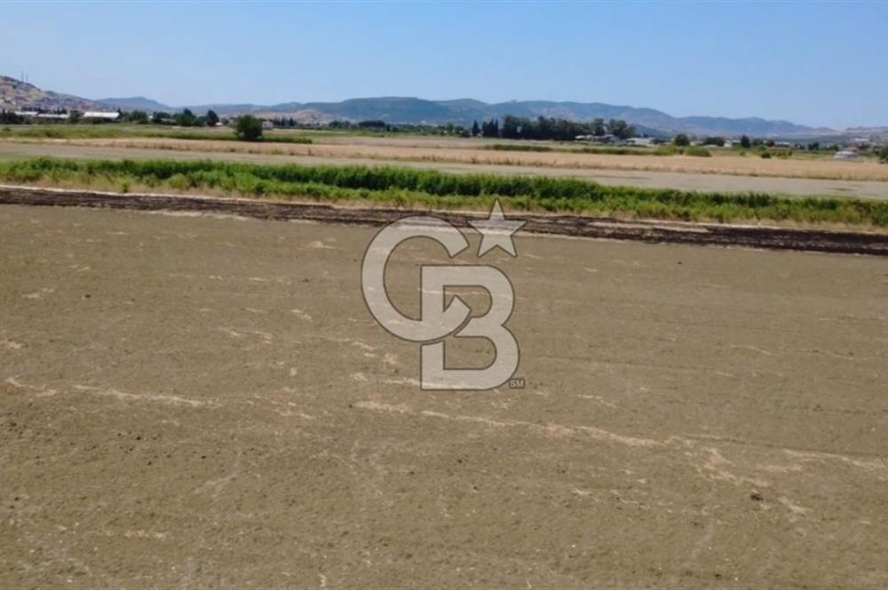 Foça Gerenköy'de Satılık Hisseli 1171 m2 Tarla