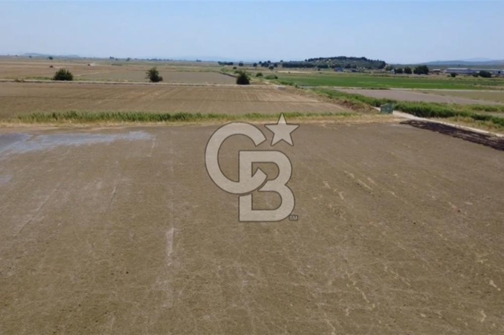 Foça Gerenköy'de Satılık Hisseli 1171 m2 Tarla
