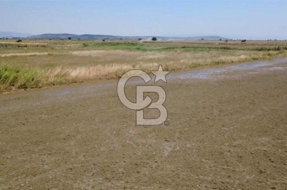 Foça Gerenköy'de Satılık Hisseli 1171 m2 Tarla