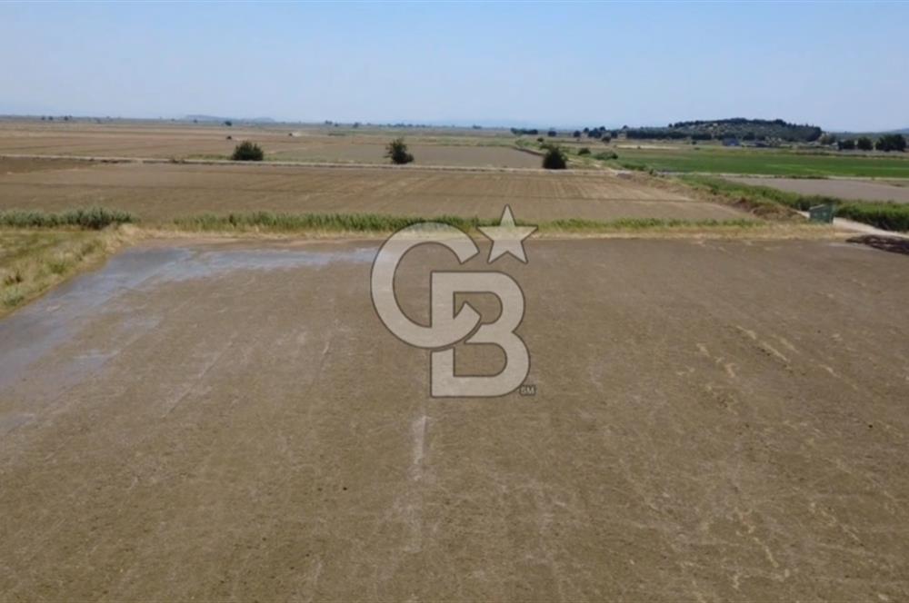 Foça Gerenköy'de Satılık Hisseli 1171 m2 Tarla