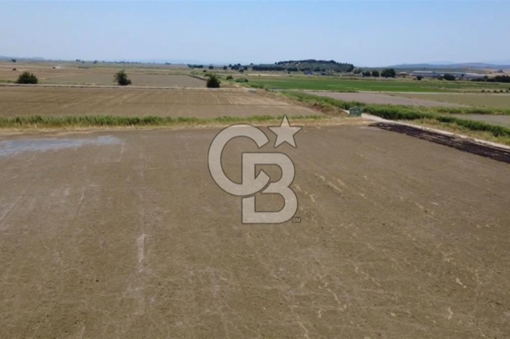 Foça Gerenköy'de Satılık Hisseli 1171 m2 Tarla