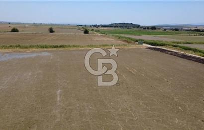 Foça Gerenköy'de Satılık Hisseli 1171 m2 Tarla