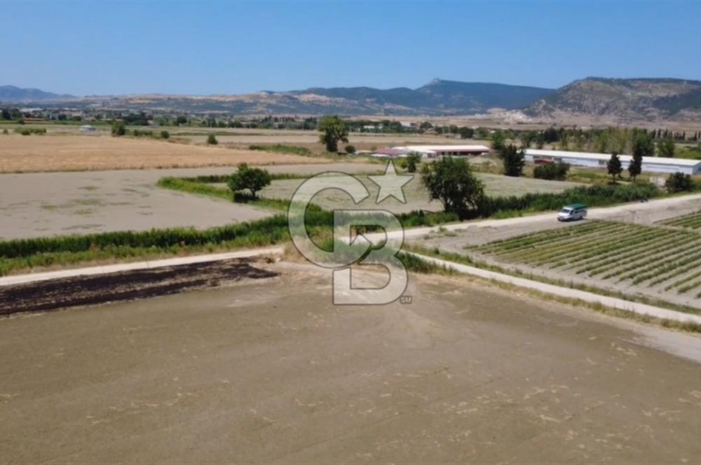 Foça Gerenköy'de Satılık Hisseli 1171 m2 Tarla