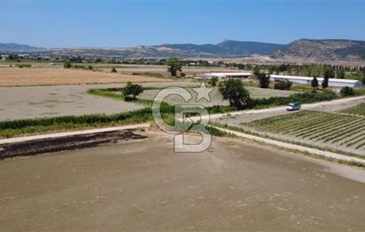 Foça Gerenköy'de Satılık Hisseli 1171 m2 Tarla