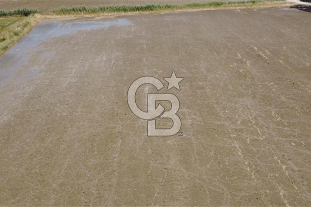 Foça Gerenköy'de Satılık Hisseli 1171 m2 Tarla