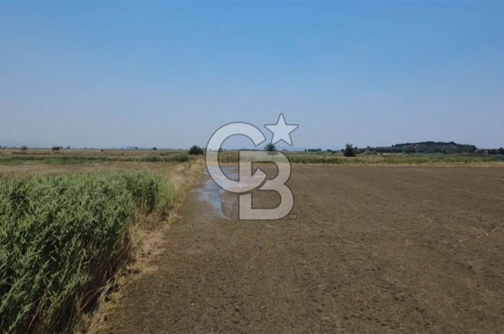 Foça Gerenköy'de Satılık Hisseli 1171 m2 Tarla