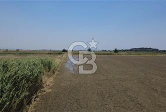 Foça Gerenköy'de Satılık Hisseli 1171 m2 Tarla - 3 - 359024