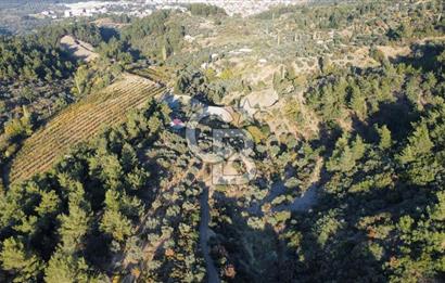 İZMİR KEMALPAŞA ÖREN'DE SATILIK 9392M2 ZEYTİNLİK VE HAZIR YAŞAM ALANI