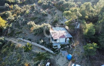 İZMİR KEMALPAŞA ÖREN'DE SATILIK 9392M2 ZEYTİNLİK VE HAZIR YAŞAM ALANI